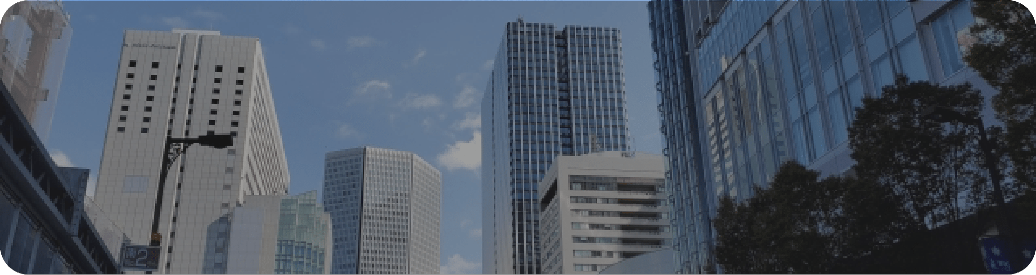 情報公開